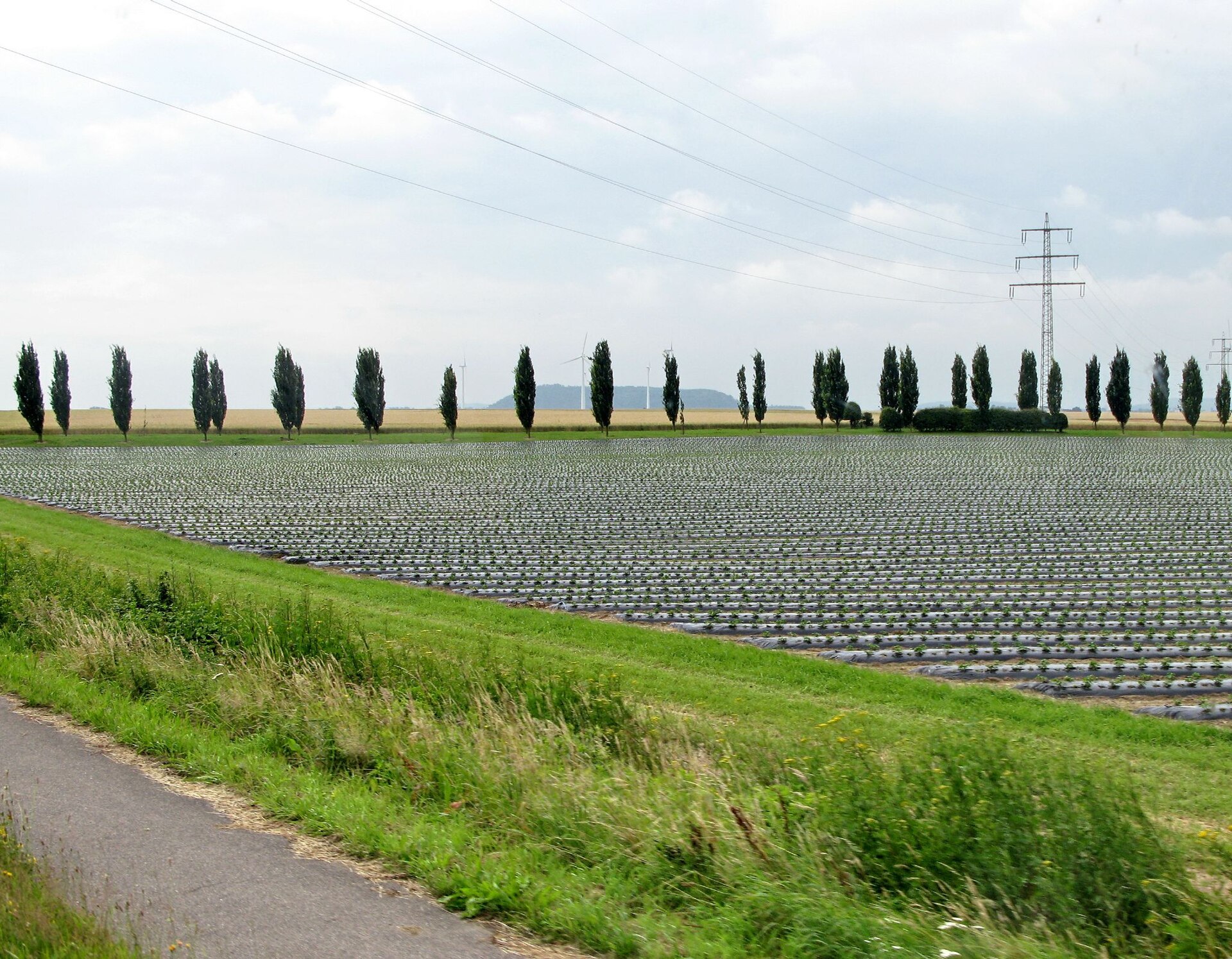 Radsaison startet: Der Niederrhein per Knotenpunkt